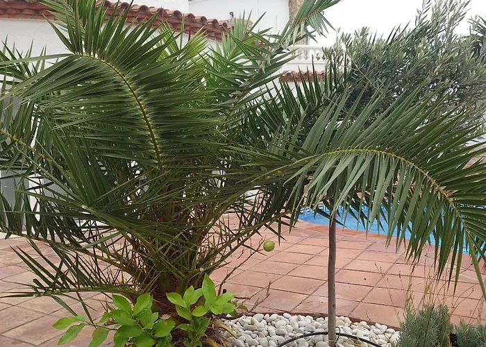Vila On Main Canal With 13 M Private Mooring, Private Pool, Air Con In Rooms, Non-smoking